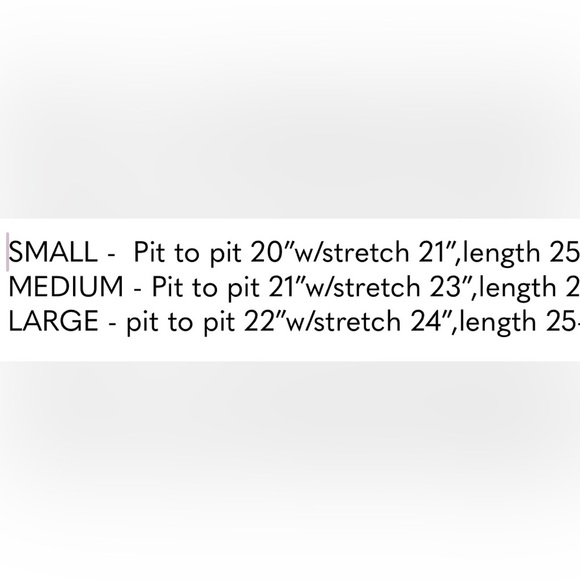 Ariat Desert Flag Cactus logo,short sleeve, scoopneck,extended back hem,T-shirt - Picture 9 of 9